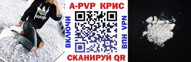 купить сайты Котлас A PVP СК КРИС