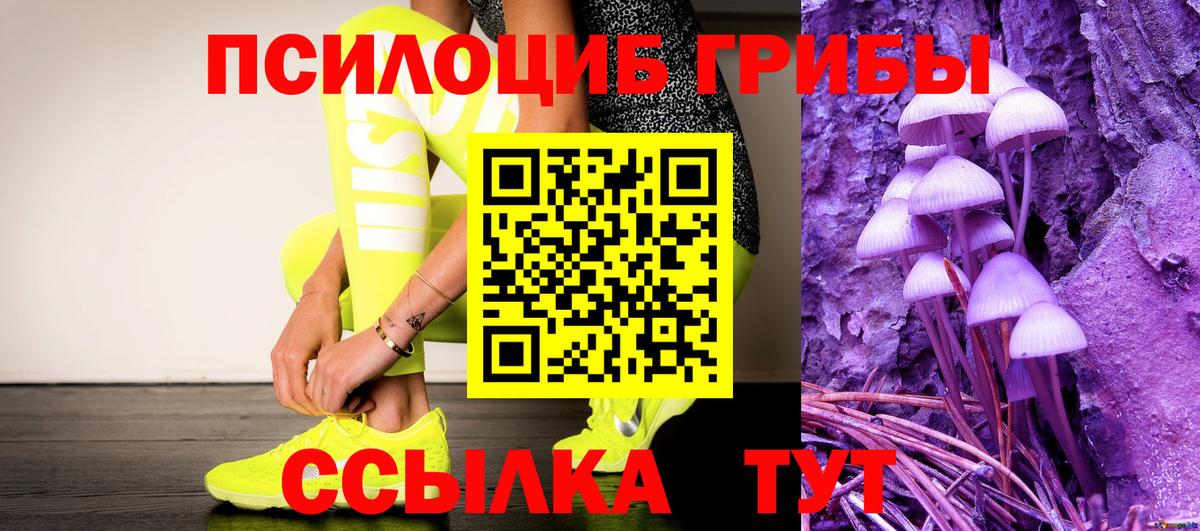 Котлас  Галлюциногенные грибы Psilocybine cubensis  Вход с VPN  Псилоцибиновые грибы GOLDEN TEACHER 